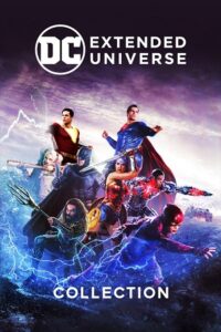 DC Extended Universe Movies 2013-2022 Dual Audio Hindi-English 720p 10bit x265 HEVC BluRay