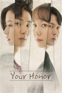 Your Honor Season 1 - Complete Hindi Dubbed ORG K-Drama Series All Episodes 480p 720p 1080p WEB-DL