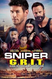 Sniper G.R.I.T. - Global Response & Intelligence Team 2023 WEB-DL Dual Audio Hindi-English 480p 720p 1080p