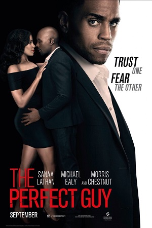 The Perfect Guy 2015 BluRay Dual Audio Hindi-English 480p 720p 1080p