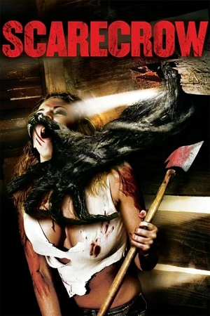 Scarecrow 2013 BluRay Dual Audio Hindi-English 480p 720p 1080p