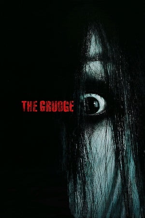 The Grudge 2004 Extended BluRay Dual Audio Hindi-English 480p 720p 1080p