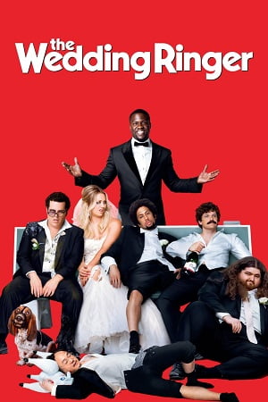 The Wedding Ringer 2015 Dual Audio Hindi - English WeB-DL 480p 720p 1080p