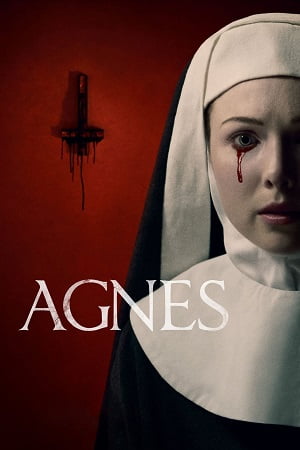 Agnes 2021 Dual Audio Hindi - English WeB-DL 480p 720p 1080p