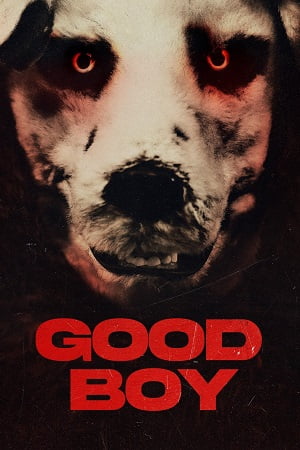 Good Boy 2022 Dual Audio Hindi - Norwegian BluRay 480p 720p 1080p