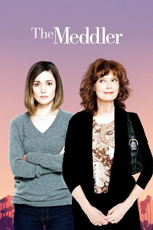 The Meddler 2015 Dual Audio Hindi - English WeB-DL 480p 720p 1080p