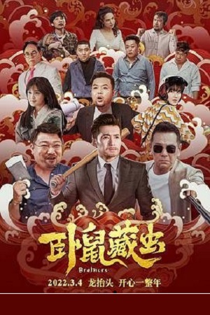 Brothers 2022 WEB-DL Dual Audio Hindi-Chinese 480p 720p 1080p