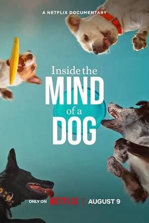Inside The Mind Of A Dog 2024 WEB-DL Dual Audio Hindi-English 480p 720p 1080p
