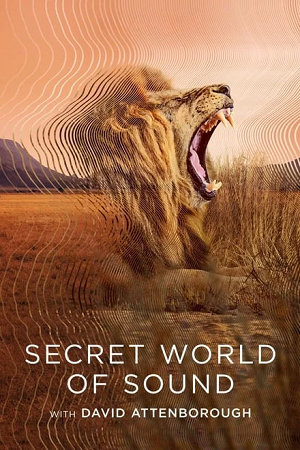 Secret World of Sound with David Attenborough - S01 2024 Dual Audio Hindi-English WEB-Series 720p & 1080p WEB-DL