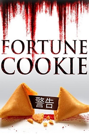 Fortune Cookie 2016 Dual Audio Hindi-English 480p WEB-DL 720p
