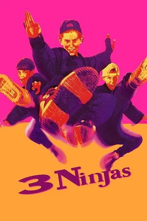 3 Ninjas 1992 Dual Audio Hindi-English BluRay 480p 720p 1080p