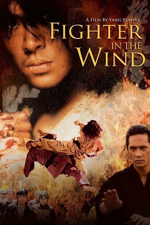 Fighter in the Wind 2004 BluRay Dual Audio Hindi-Korean 480p 720p 1080p
