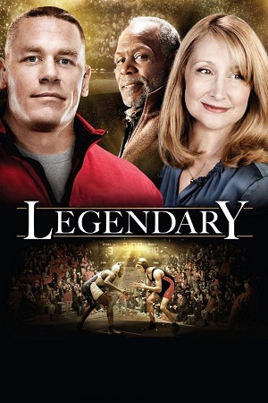 Legendary 2010 BluRay Dual Audio Hindi-English 480p 720p 1080p