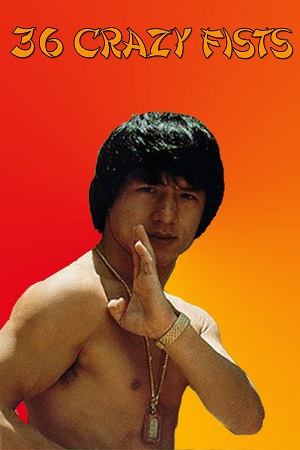 The 36 Crazy Fists - Jackie Chan And The 36 Crazy Fists 1977 BluRay Dual Audio Hindi-English 480p 720p 1080p