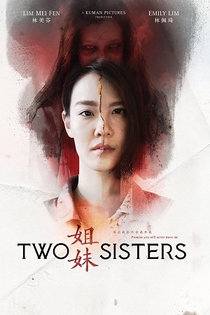 Two Sisters 2019 WEB-DL Dual Audio Hindi-Chinese 480p 720p 1080p