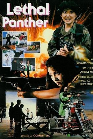 Lethal Panther 1990 BluRay Dual Audio Hindi-English 480p 720p 1080p