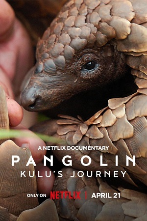Pangolin Kulu’s Journey 2025 WEB-DL Dual Audio Hindi-English 480p 720p 1080p