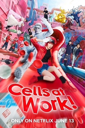 Cells at Work! 2024 WEB-DL English With Subtitles Full Movie 480p 720p 1080p