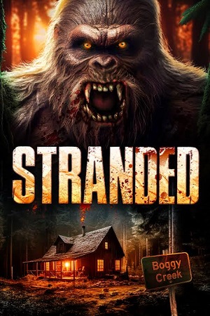 Stranded 2023 Dual Audio Hindi-English BluRay 480p 720p 1080p