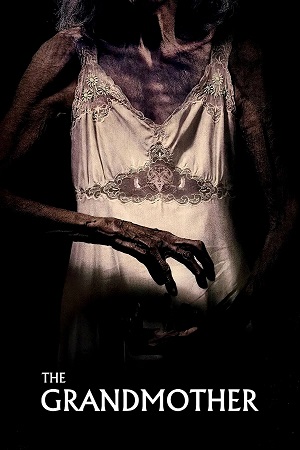 The Grandmother 2019 Dual Audio Hindi-English BluRay 480p 720p 1080p