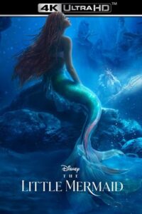 The Little Mermaid 2023 BluRay Dual Audio Hindi ORG 5.1 - English 480p 720p 1080p 2160p
