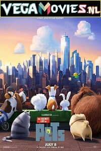 The Secret Life of Pets 2016 Dual Audio Hindi-English BluRay 480p 720p 1080p
