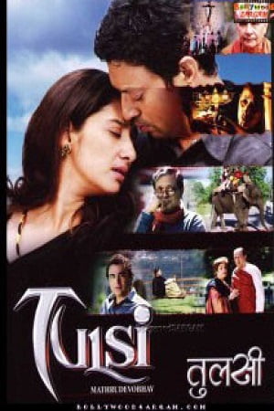 Tulsi 2008 Hindi Full Movie WEB-DL 480p 720p 1080p