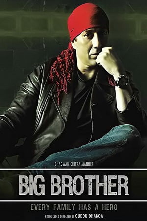 Big Brother 2007 Hindi Full Movie WEB-DL 480p 720p 1080p