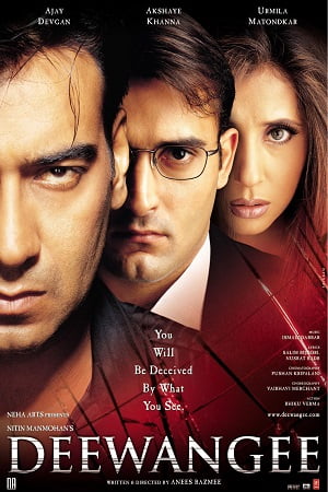 Deewangee 2002 Hindi Full Movie WEB-DL 480p 720p 1080p