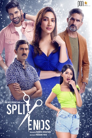 Split Ends 2021 Season 1 Hindi Complete MX Original WEB Series 480p 720p HDRip