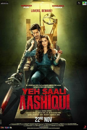 Yeh Saali Aashiqui 2019 Hindi Full Movie 480p 720p 1080p