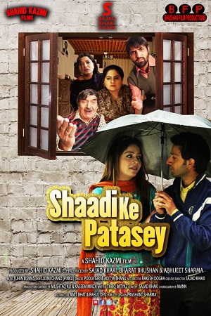 Shaadi Ke Patasey 2019 Hindi Full Movie WEB-DL 480p 720p 1080p