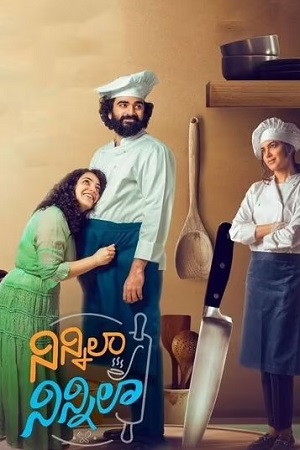 Ninnila Ninnila 2021 Zee5 Hindi Dubbed WebRip 480p 720p 1080p