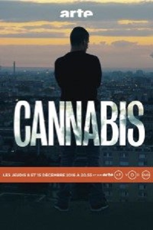 Cannabis 2016 Season 1 Hindi Complete MX Original WEB Series 480p 720p HDRip