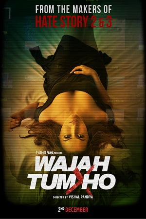 Wajah Tum Ho 2016 Hindi Full Movie 480p 720p 1080p