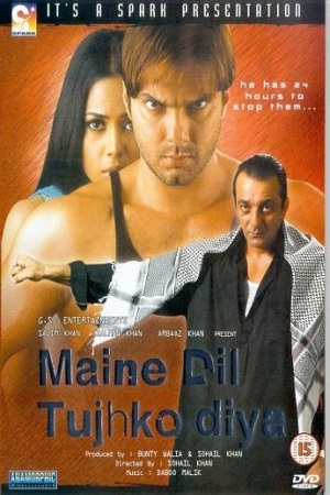 Maine Dil Tujhko Diya 2002 Hindi Full Movie 480p 720p 1080p