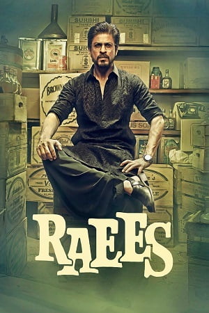 Raees 2017 Hindi Full Movie 480p 720p 1080p