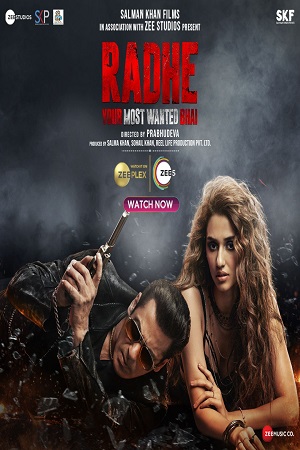 Radhe 2021 Hindi Full Movie WEB-DL 480p 720p 1080p