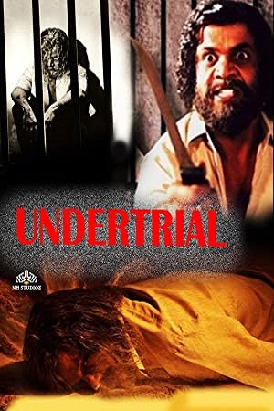 Undertrial 2017 Hindi Full Movie 480p 720p