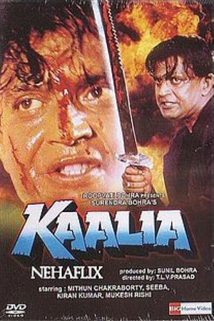 Kaalia 1997 Hindi Full Movie WEB-DL 480p 720p 1080p