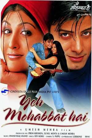 Yeh Mohabbat Hai 2002 Hindi Full Movie WEB-DL 480p 720p