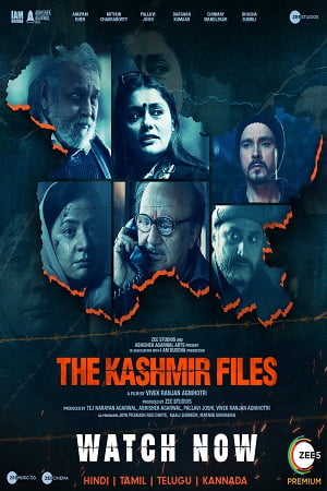 The Kashmir Files 2022 WEB-DL Hindi Full Movie 480p 720p 1080p