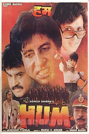 Hum 1991 Hindi Full Movie WEB-DL 480p 720p 1080p