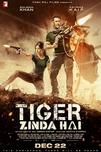 Tiger Zinda Hai 2017 BluRay Hindi Full Movie 480p 720p 1080p