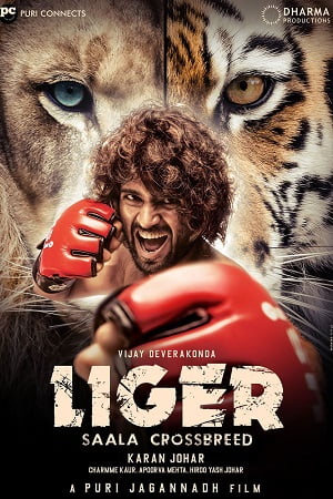 Liger 2022 Multi Audio Hindi - Telugu - Tamil - Malayalam - Kannada Full Movie WEB-DL 480p 720p 1080p 2160p 4K