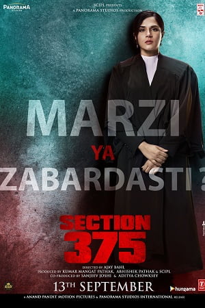 Section 375 2019 Hindi Full Movie 480p 720p 1080p