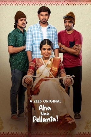 Aha Naa Pellanta 2022 Season 1 Complete Hindi WEB Series 480p 720p HDRip