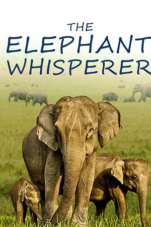 The Elephant Whisperers 2022 WEB-DL Dual Audio Hindi - English 480p 720p 1080p 2160p 4K