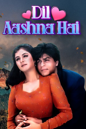 Dil Aashna Hai 1992 HDRip Hindi Full Movie 480p 720p 1080p