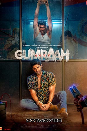 Gumraah 2023 Hindi Full Movie NF WEB-DL 480p 720p 1080p